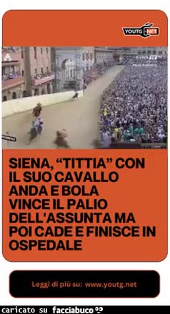 Gif Animata