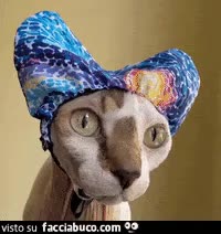gif animata