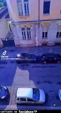 Gif Animata