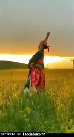 Gif Animata