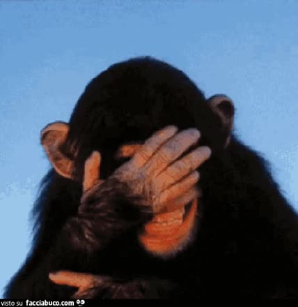 gif animata