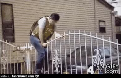 gif animata
