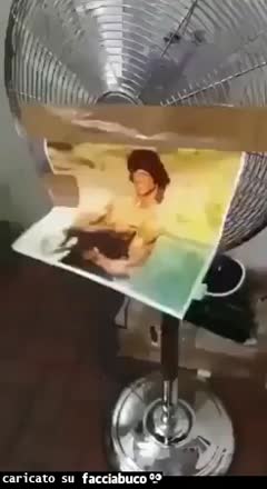 Gif Animata