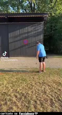 Gif Animata