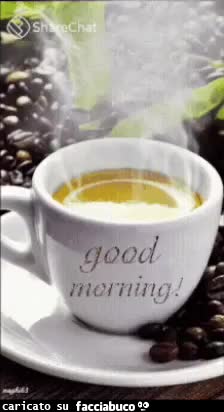 gif animata