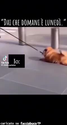 Dai che domani è lunedì