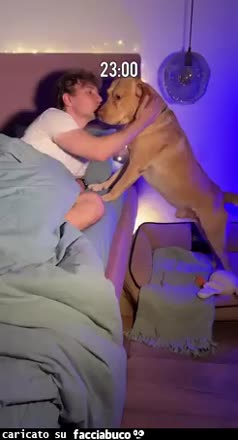 Cane