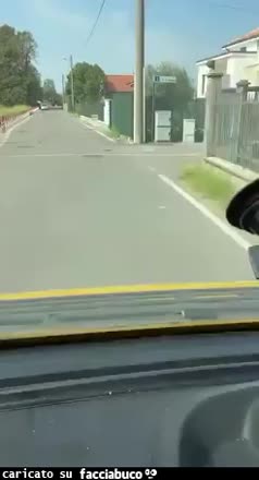 Gif Animata