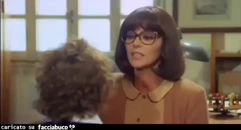 Gif Animata