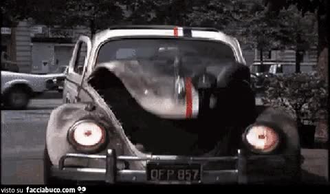 gif animata
