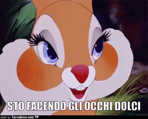 gif animata