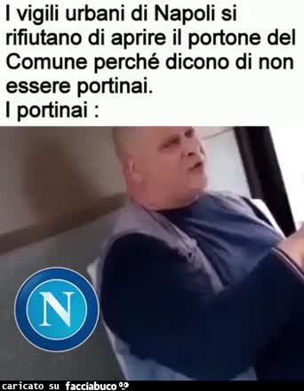 Vigili portinai
