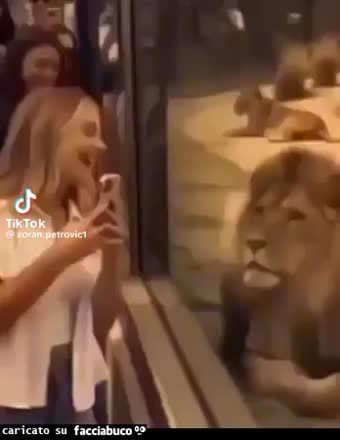 Gif Animata