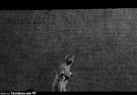 The Incredible Shrinking Man (1957)