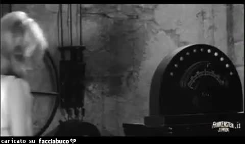 gif animata