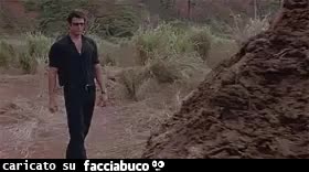 gif animata