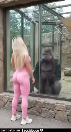 Gif Animata