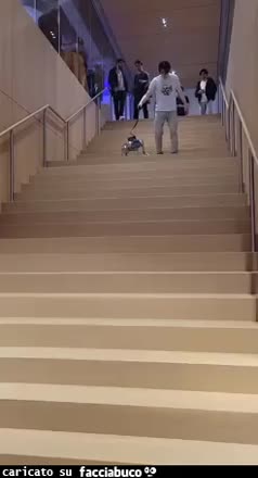 Gif Animata