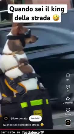Gif Animata