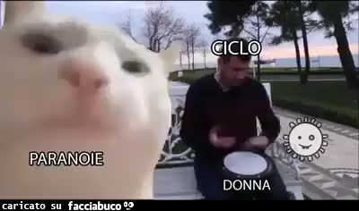 Ciclo e paranoie