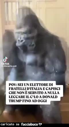 Gif Animata