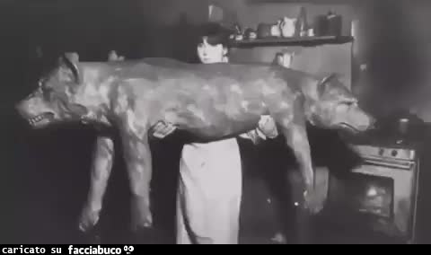 Gif Animata