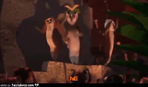 gif animata