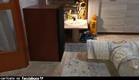 Gif Animata