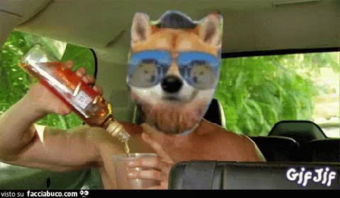 gif animata