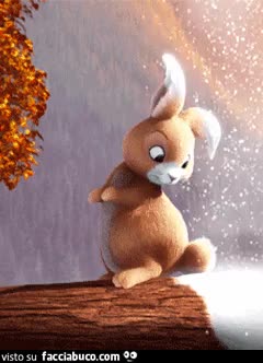 gif animata