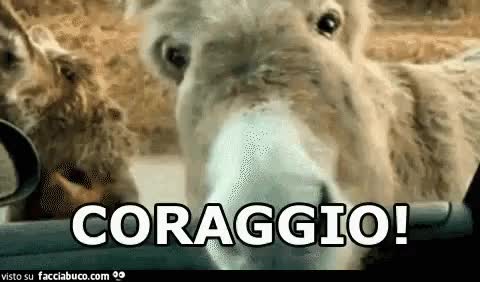 gif animata