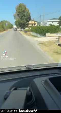 Gif Animata