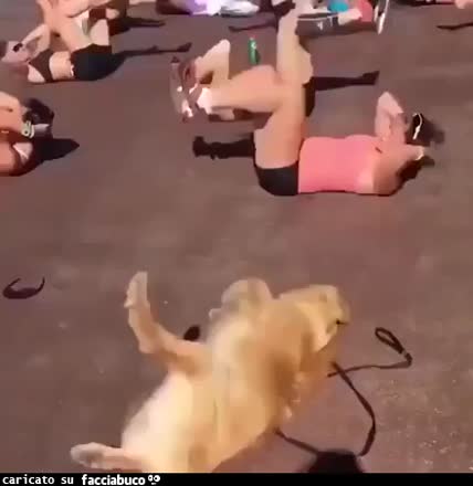 Gif Animata