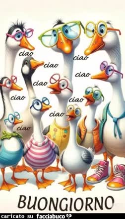 gif animata