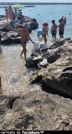 Gif Animata