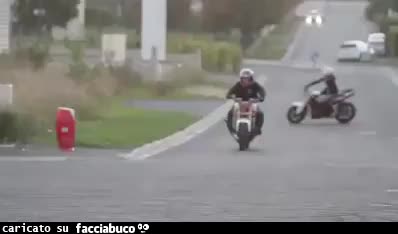 Gif Animata