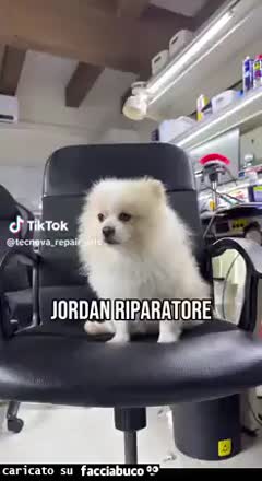Gif Animata