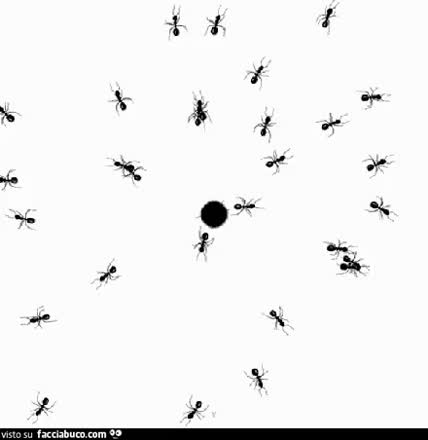 gif animata