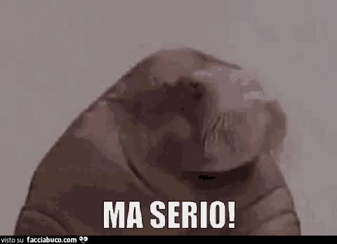 gif animata