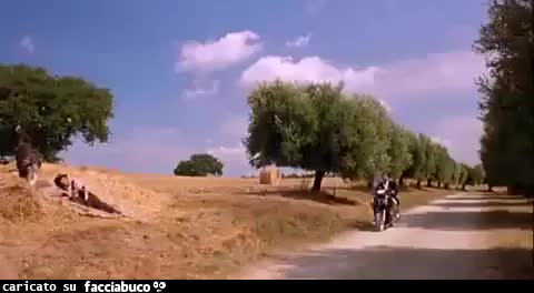 Gif Animata