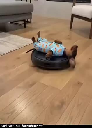 Aspirapolvere robot con cane