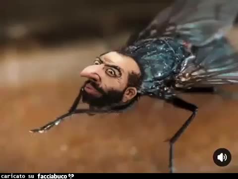 Gif Animata