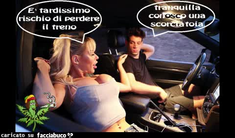 Gif Animata