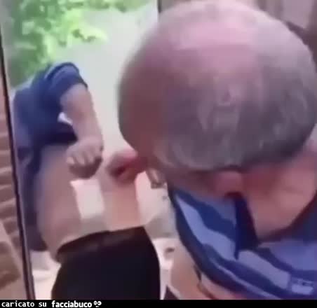 Gif Animata