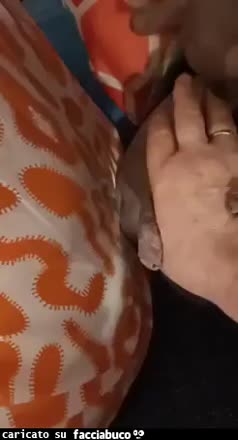 Gif Animata