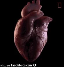 gif animata