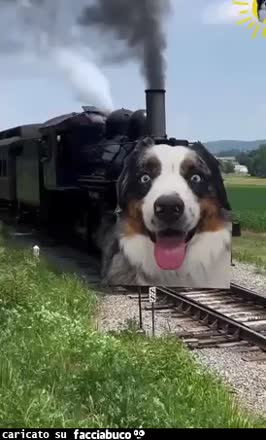 gif animata