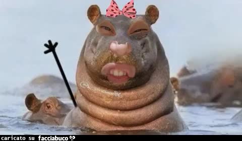 Gif Animata