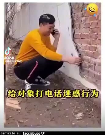 Gif Animata