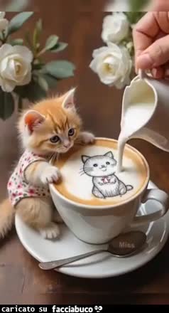Gif Animata